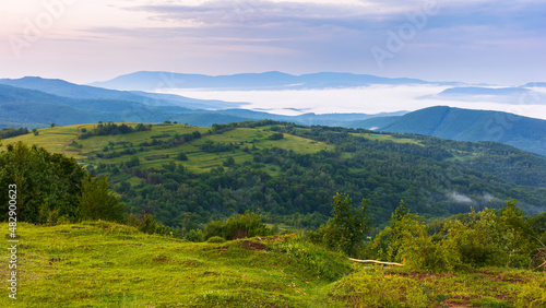 Fototapeta Naklejka Na Ścianę i Meble -  countryside landscape at dawn. grassy meadows, rural fields and forested slopes on hills rolling off in to the distant valley full of fog. warm summer weather with clouds on the sky in morning light