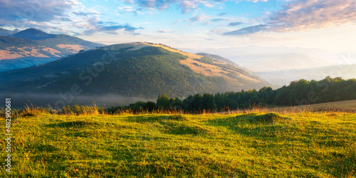 grassy pasture on the hill in morning light. beautiful countryside landscape of carpathian mountains at sunrise. rural valley at the foot on the distant ridge © Pellinni