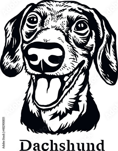 Dachshund - Funny Dog, Vector File, Cut Stencil for Tshirt