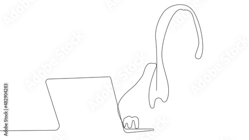 One line. Middle aged business woman using laptop working on computer sitting at desk with black line and white background. High quality 4k footage