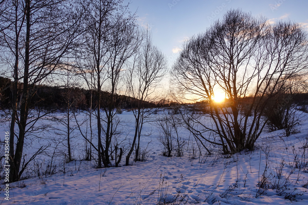 Winter evening. Sun through the trees. Snowy landscape. Russia Winter evening. Sun through the trees. Snowy landscape. Russia