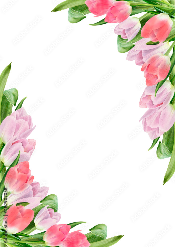 Fototapeta premium Watercolor tulip flowers frame. Spring design for valentine day, 8 march, mothers day, easter. Greeting card border. Hand painted illustration isolated on white background
