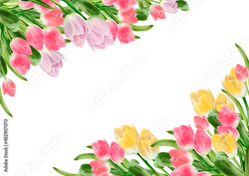 Fototapeta Naklejka Na Ścianę i Meble -  Watercolor tulip flowers frame. Spring design for valentine day, 8 march, mothers day, easter. Greeting card border. Hand painted illustration isolated on white background