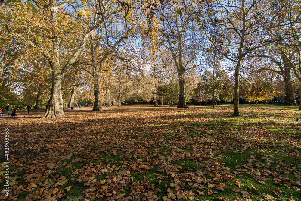 View of the beautiful parks in London View of the beautiful parks in London