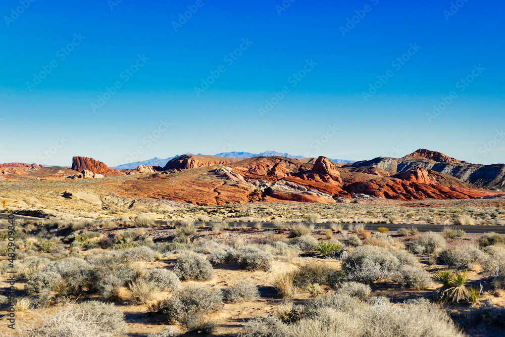 Fototapeta premium Eroded red and orange rocks and dry desert vegetation in the Valley of Fire State Park, Nevada