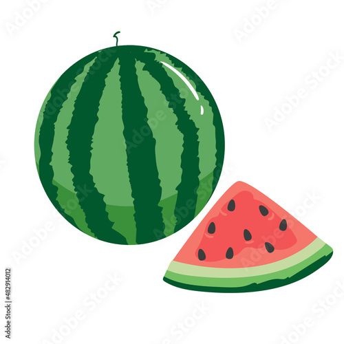 watermelon Slice Vector Set. Watermelon Illustration Fruit Vector Design watermelon slice dense illustration in flat design isolated on white