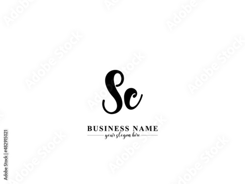 Alphabet SC or cs Initial Signature Logo, Monogram Signature sc Letter Logo Icon Design for baby kids boom family and children business
