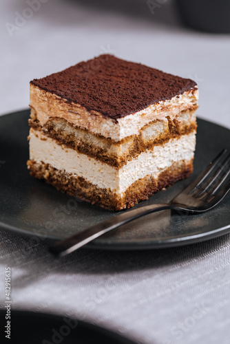 Tiramisu cake dessert served with coffee, biscuit and cocoa as ingredients on a bright white background. One piece