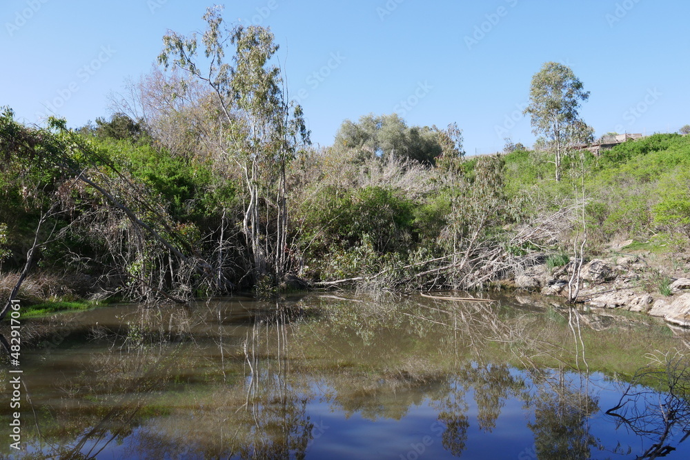 Teich auf Gran Canaria Teich auf Gran Canaria
