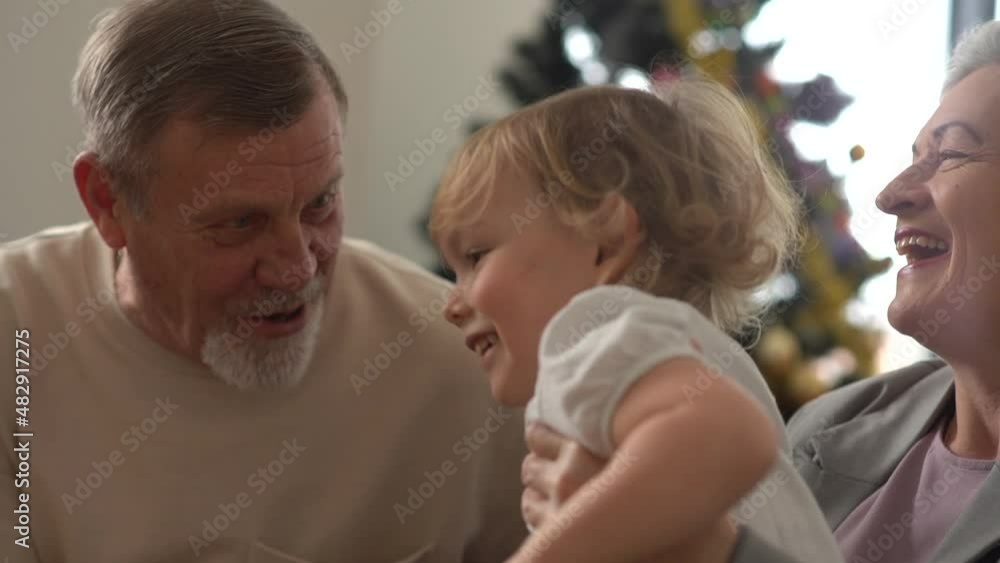Happy grandparents, grey-haired Grandpa and Grandma, hug their beloved four-year-old grandson while sitting on the couch at home. family holidays Happy grandparents, grey-haired Grandpa and Grandma, hug their beloved four-year-old grandson while sitting on the couch at home. family holidays