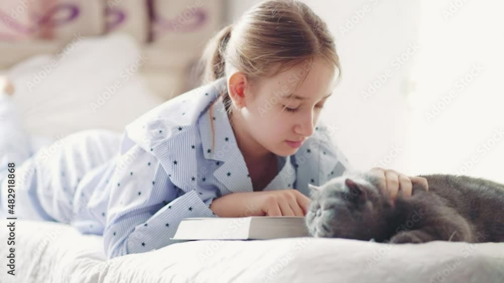 Girl strokes a grey cat while reading a book. Cute white cat lies next to a child reading a book and taking time to a pet. A fluffy grey cat kisses its owner while sitting in her arms. Girl strokes a grey cat while reading a book. Cute white cat lies next to a child reading a book and taking time to a pet. A fluffy grey cat kisses its owner while sitting in her arms.