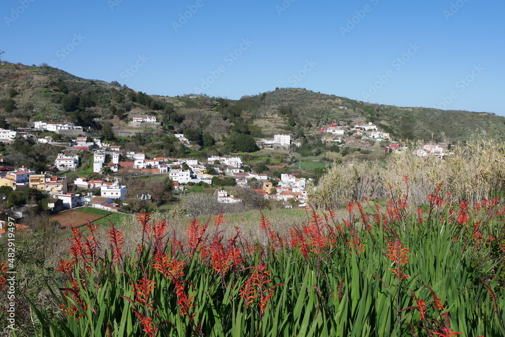 Aloe vera und Valleseco auf Gran Canaria Aloe vera und Valleseco auf Gran Canaria