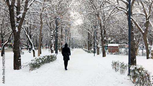 person walking in the snow