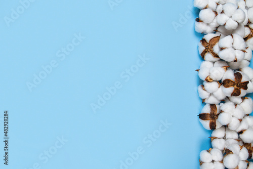Light blue background with copy space and border of cotton flowers