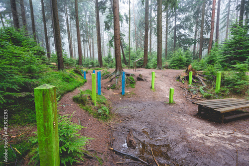 Onderduikershol Drie, a hidden shelter from World War Two, Speulderbos, The Netherlands, January 13, 2022. photo