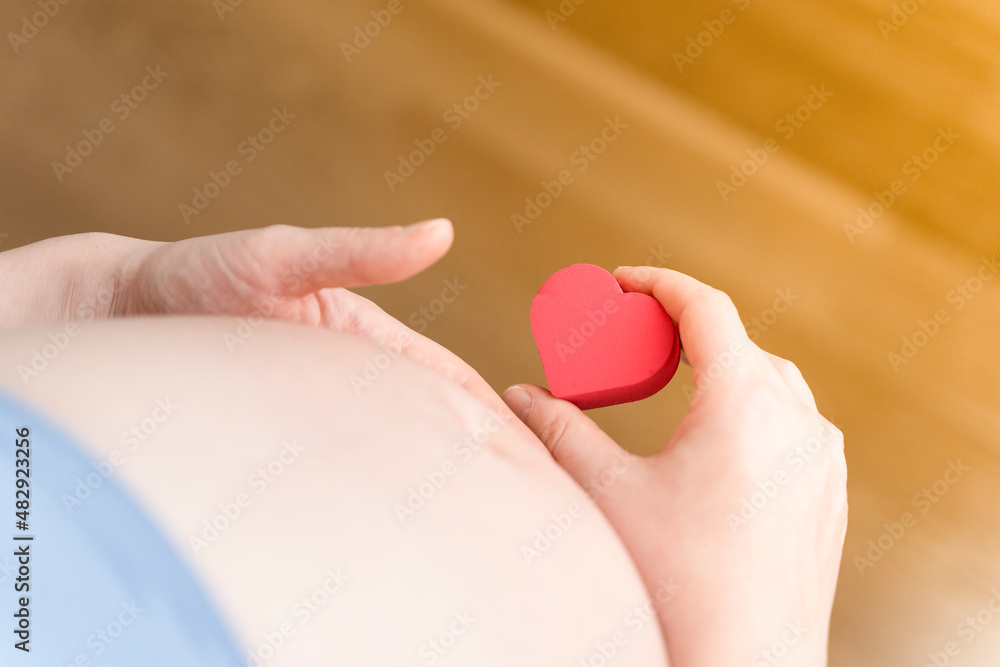 A pregnant woman after IVF holds a small red heart in her hands. The concept of motherhood, fertility, new life, In vitro fertilisation. A pregnant woman after IVF holds a small red heart in her hands. The concept of motherhood, fertility, new life, In vitro fertilisation.