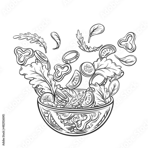 Salad falling into bowl outline hand drawn vector illustration.. Flying salad with red tomatoes, pepper, cucumber, spinach and lettuce concept cooking