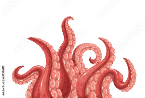 Octopus tentacles banner. Limbs of the sea monster kraken. Vector illustration of sea octopus twisted tentacles with sucker .
