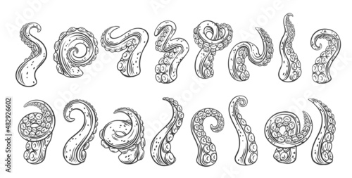 Octopus tentacles outline icons. Monochrome limbs of the sea monster kraken. Set of sea octopus twisted tentacles with suckers vector illustration. photo