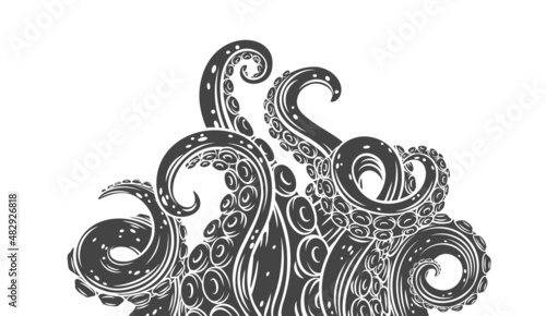 Octopus glyph tentacles banner. Monochrome limbs of the sea monster kraken. Vector illustration of sea octopus twisted tentacles with sucker photo