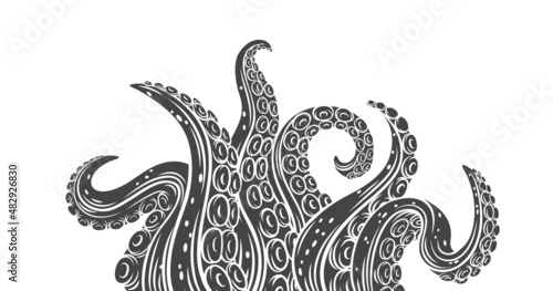 Octopus glyph tentacles banner. Monochrome limbs of the sea monster kraken. Vector illustration of sea octopus twisted tentacles with sucker