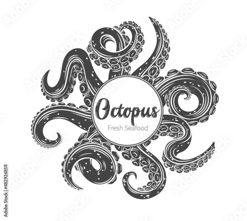 Octopus glyph tentacles frame banner with empty space. Monochrome limbs of the sea monster kraken. Vector illustration of sea octopu photo