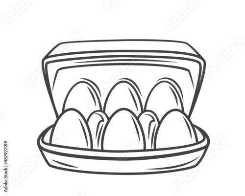Egg box with six chicken eggs, carton pack or container outline drawn vector illustration.
