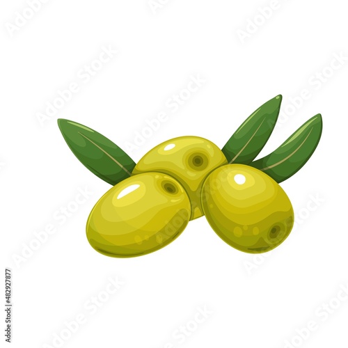 Green olives with leaves. Vector illustration of heap olives.