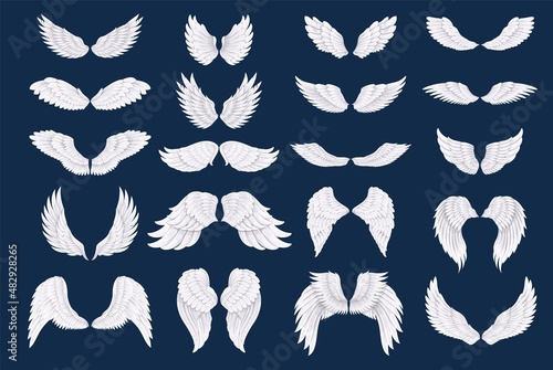 White bird or angel wings, vector illustration.