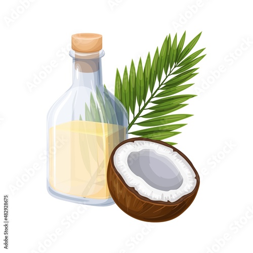 Coconut with coconut oil in glass bottle and green palm leaf. Tropical vector illustration.