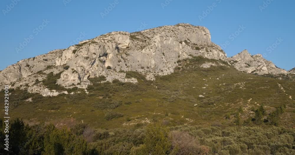 Olives groves, Les Civadieres in the Alpilles range, Provence, France Olives groves, Les Civadieres in the Alpilles range, Provence, France