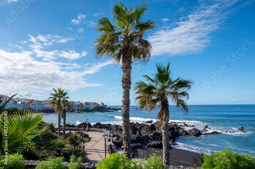 View on colorful Playa Jardin  palm trees and black lava rocks in Puerto de la Cruz  Tenerife  Canary islands