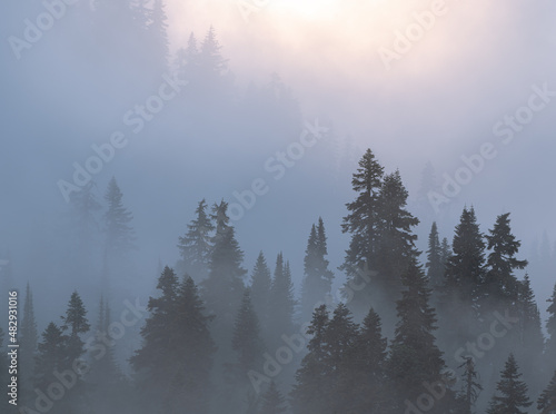 fog in the mountains