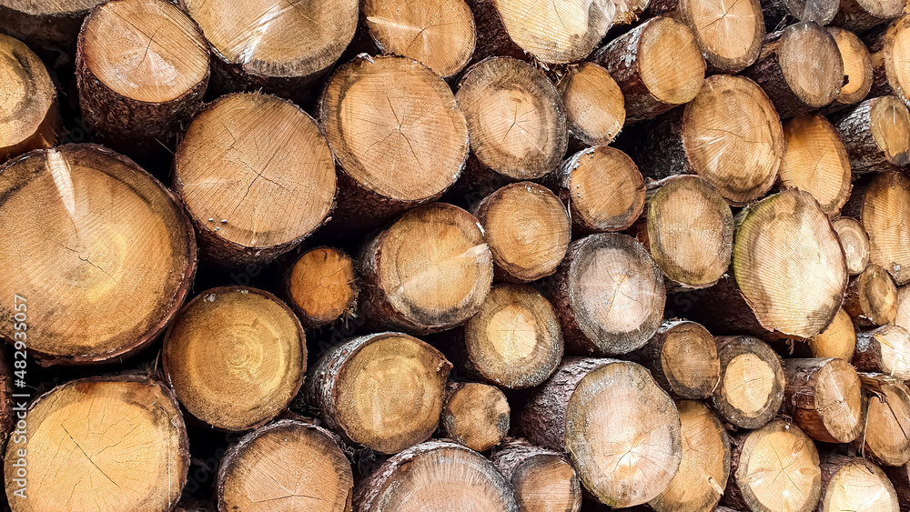 stack of cut lumber - an important commodity from the logging sector stack of cut lumber - an important commodity from the logging sector