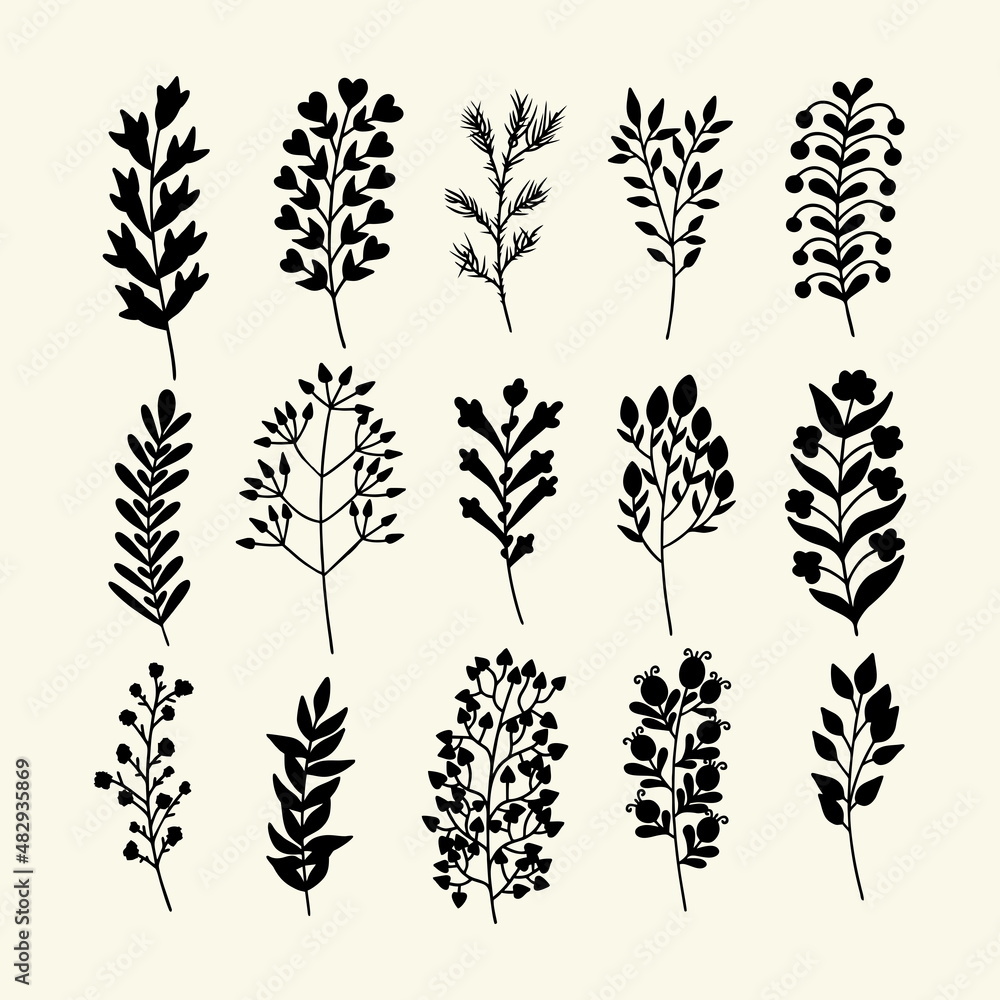Set of hand drawn plant branches and leaves. Vector doodle style. Set of hand drawn plant branches and leaves. Vector doodle style.