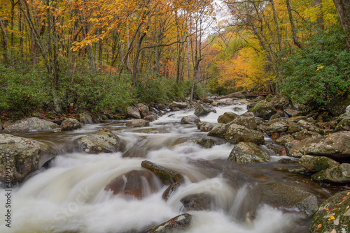 Great Smoky Mountains - Little Pigeon River