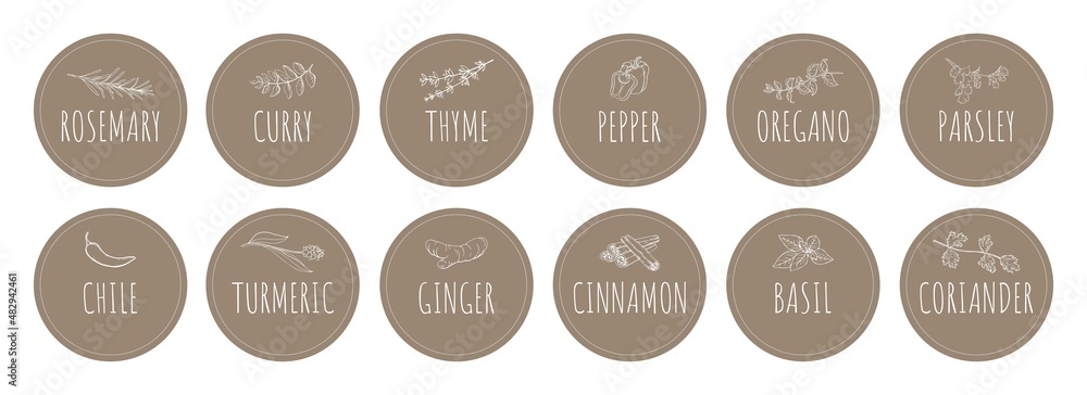 Vector collection of stickers with spices labels Set of labels for Vector collection of stickers with spices labels Set of labels for
