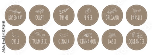 Vector collection of stickers with spices labels. Set of labels for spices. stickers, cards for marking kitchen food containers with spices.