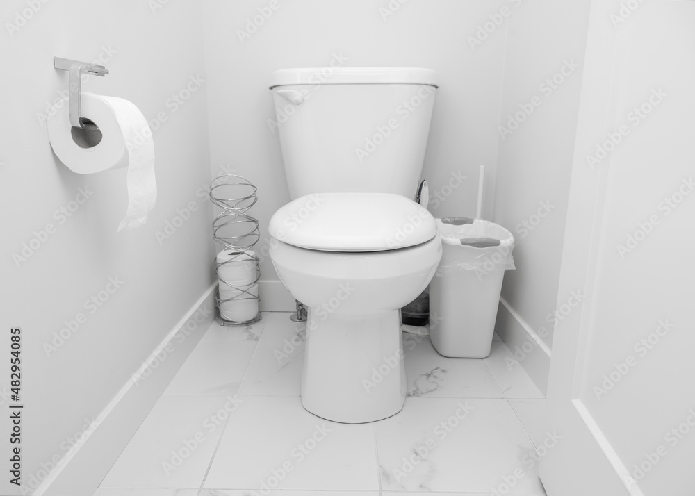 Toilet with metallic toilet paper roll holder and garbage can on floor in white modern bathroom Toilet with metallic toilet paper roll holder and garbage can on floor in white modern bathroom