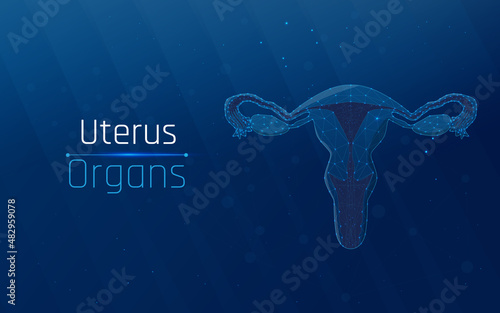 Abstract mesh line and point Ovaries. wireframe plexus female reproductive organs uterus and ovaries health care. Polygonal illustration