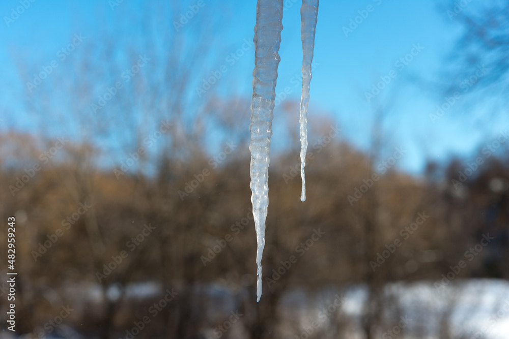 icicles on a roof (with out of focus background) icicles on a roof (with out of focus background)