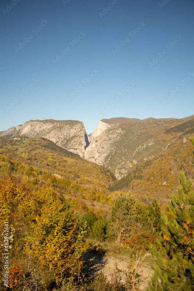 mountain and forest landscape from nature