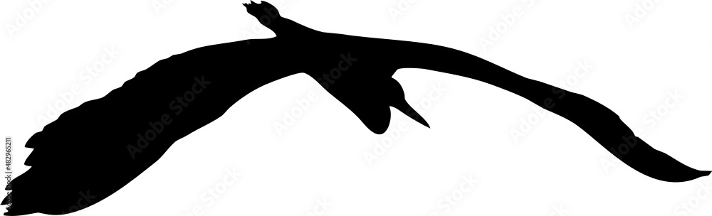 Oiseau en vol, vecteur pour illustration, animation, conception. En noir et silhouette sur fond transparent. Héron cendré. 