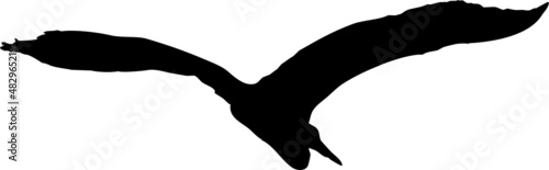Oiseau en vol, vecteur pour illustration, animation, conception. En noir et silhouette sur fond transparent. Héron cendré. 