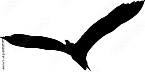 Oiseau en vol, vecteur pour illustration, animation, conception. En noir et silhouette sur fond transparent. Héron cendré. 