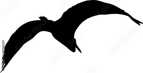 Oiseau en vol, vecteur pour illustration, animation, conception. En noir et silhouette sur fond transparent. Héron cendré. 