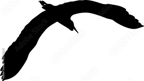 Oiseau en vol, vecteur pour illustration, animation, conception. En noir et silhouette sur fond transparent. Héron cendré. 