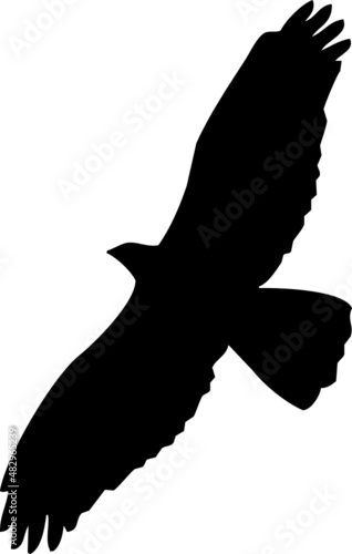 Oiseau rapace en vol, silhouette en vecteur sur fond transparent 