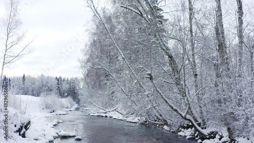 The trees filled with snow on the forest in Estonia with the river on the side streaming photo