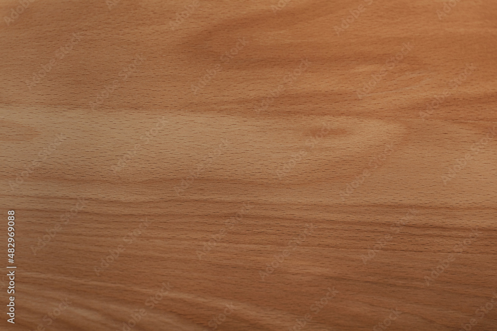 wooden text. background from a tree for inscriptions. wooden text. background from a tree for inscriptions.
